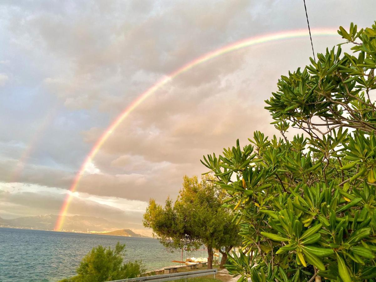 Villa Amica Trogir Zewnętrze zdjęcie